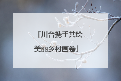 川台携手共绘美丽乡村画卷