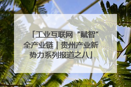 工业互联网“赋智”全产业链｜贵州产业新势力系列报道之八