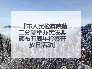 市人民检察院第二分院举办民法典颁布五周年检察开放日活动