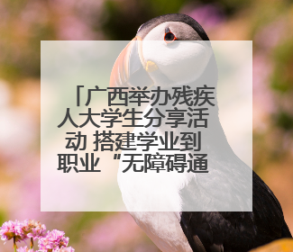广西举办残疾人大学生分享活动 搭建学业到职业“无障碍通道”