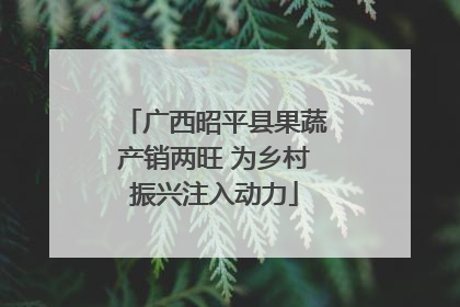 广西昭平县果蔬产销两旺 为乡村振兴注入动力