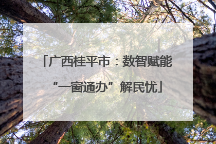 广西桂平市：数智赋能“一窗通办”解民忧