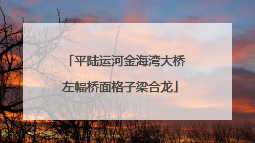 平陆运河金海湾大桥左幅桥面格子梁合龙