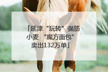 延津“玩转”强筋小麦 “魔方面包”卖出132万单