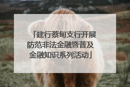 建行蔡甸支行开展防范非法金融暨普及金融知识系列活动