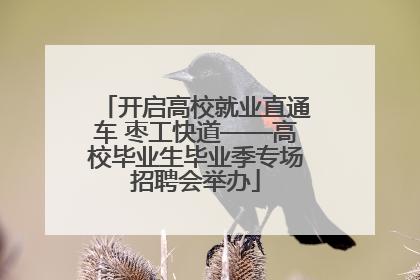 开启高校就业直通车 枣工快道——高校毕业生毕业季专场招聘会举办