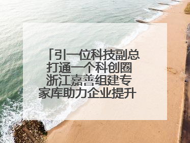 引一位科技副总 打通一个科创圈 浙江嘉善组建专家库助力企业提升自主创新能力