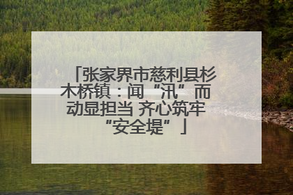 张家界市慈利县杉木桥镇：闻“汛”而动显担当 齐心筑牢“安全堤”