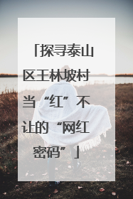 探寻泰山区王林坡村当“红”不让的“网红密码”