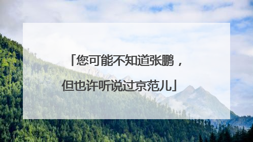 您可能不知道张鹏，但也许听说过京范儿