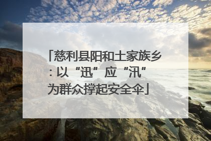 慈利县阳和土家族乡：以“迅”应“汛” 为群众撑起安全伞