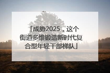成势2025，这个街道多维锻造新时代复合型年轻干部梯队