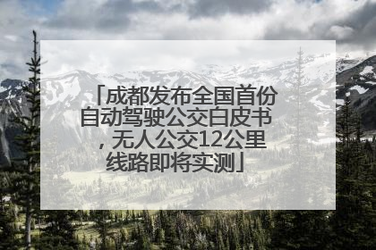 成都发布全国首份自动驾驶公交白皮书，无人公交12公里线路即将实测