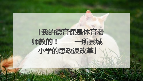 我的德育课是体育老师教的！——一所县城小学的思政课改革
