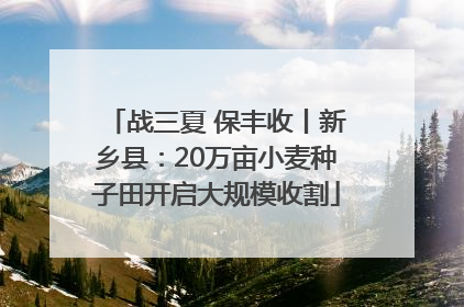 战三夏 保丰收丨新乡县：20万亩小麦种子田开启大规模收割