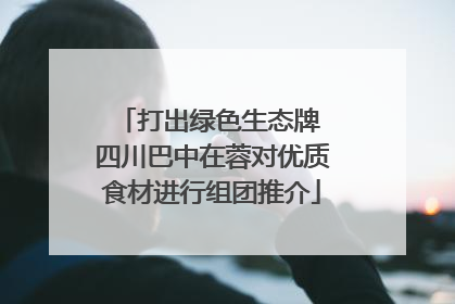 打出绿色生态牌 四川巴中在蓉对优质食材进行组团推介