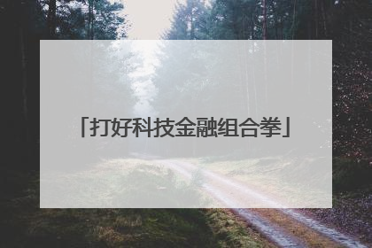 打好科技金融组合拳