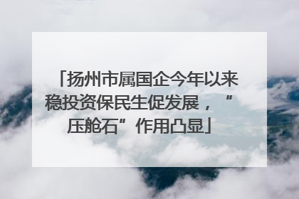 扬州市属国企今年以来稳投资保民生促发展，“压舱石”作用凸显