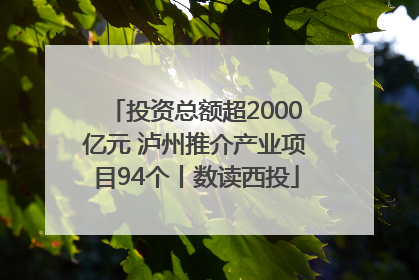 投资总额超2000亿元 泸州推介产业项目94个丨数读西投