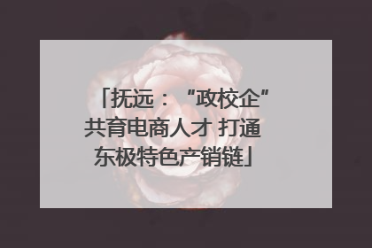 抚远：“政校企”共育电商人才 打通东极特色产销链