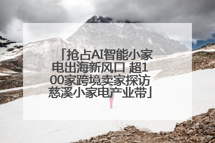 抢占AI智能小家电出海新风口 超100家跨境卖家探访慈溪小家电产业带