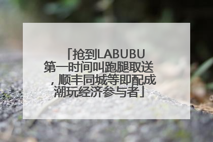 抢到LABUBU第一时间叫跑腿取送，顺丰同城等即配成潮玩经济参与者