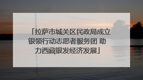拉萨市城关区民政局成立银领行动志愿者服务团 助力西藏银发经济发展