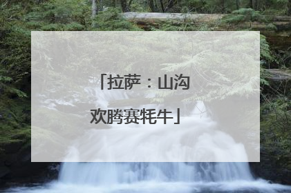 拉萨：山沟欢腾赛牦牛