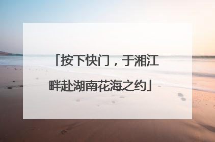 按下快门，于湘江畔赴湖南花海之约