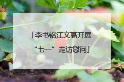 李书铭江文高开展“七一”走访慰问