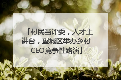 村民当评委，人才上讲台，望城区举办乡村CEO竞争性路演
