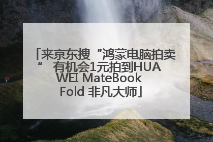 来京东搜“鸿蒙电脑拍卖” 有机会1元拍到HUAWEI MateBook Fold 非凡大师