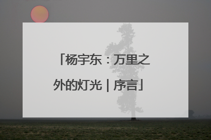 杨宇东：万里之外的灯光｜序言