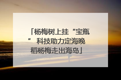 杨梅树上挂“宝瓶” 科技助力定海晚稻杨梅走出海岛