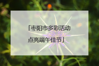 枣阳市多彩活动点亮端午佳节