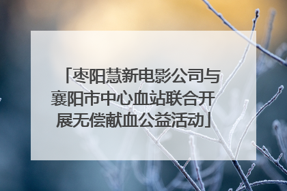 枣阳慧新电影公司与襄阳市中心血站联合开展无偿献血公益活动