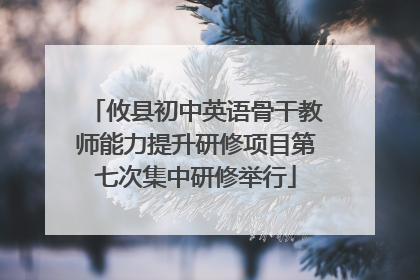 攸县初中英语骨干教师能力提升研修项目第七次集中研修举行