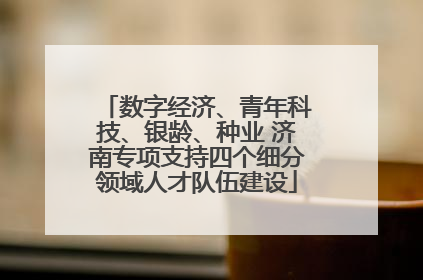 数字经济、青年科技、银龄、种业 济南专项支持四个细分领域人才队伍建设
