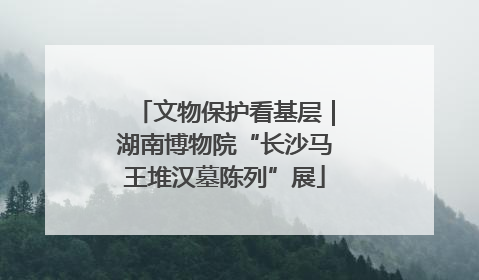 文物保护看基层｜湖南博物院“长沙马王堆汉墓陈列”展