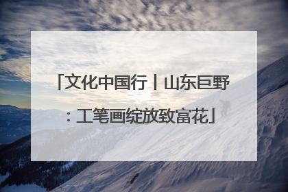 文化中国行丨山东巨野：工笔画绽放致富花
