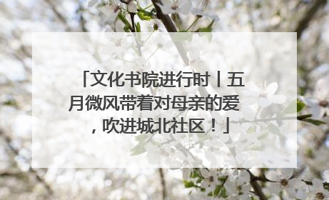 文化书院进行时丨五月微风带着对母亲的爱，吹进城北社区！