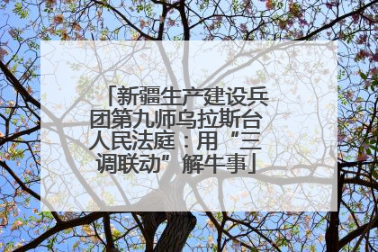 新疆生产建设兵团第九师乌拉斯台人民法庭：用“三调联动”解牛事