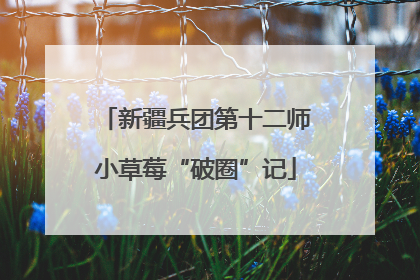 新疆兵团第十二师小草莓“破圈”记