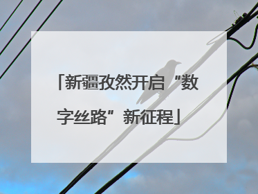 新疆孜然开启“数字丝路”新征程
