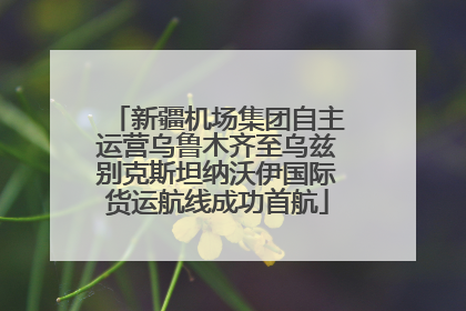 新疆机场集团自主运营乌鲁木齐至乌兹别克斯坦纳沃伊国际货运航线成功首航