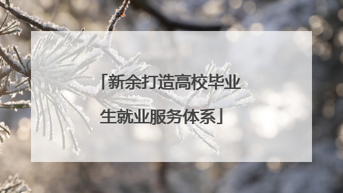 新余打造高校毕业生就业服务体系