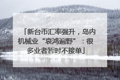 新台币汇率强升，岛内机械业“哀鸿遍野”：很多业者暂时不接单