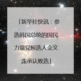 新华社快讯：参选韩国总统的国民力量党候选人金文洙承认败选