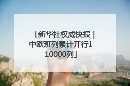 新华社权威快报｜中欧班列累计开行110000列