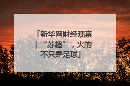 新华网财经观察｜“苏超”，火的不只是足球